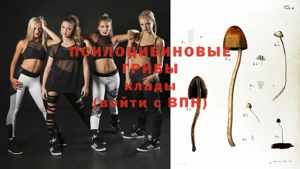 стафф Переславль-Залесский