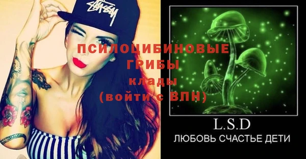 прущие крисы Пересвет