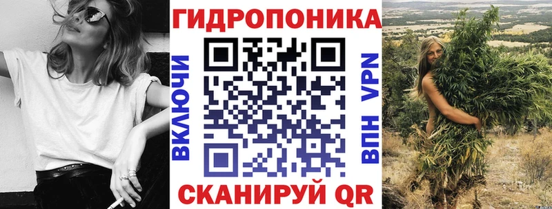 Бошки Шишки THC 21%  где можно купить   Завитинск 